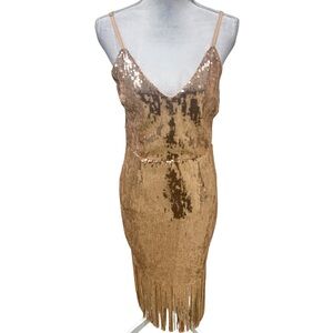 Lulu's anjou blush Sequin Fringe Party sleeveless Dress v neck back zip medium